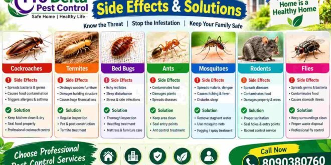 Pest Control Problems and Solutions