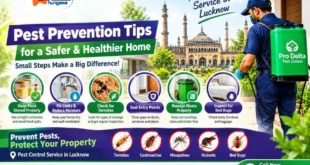 Pest Prevention In Lucknow