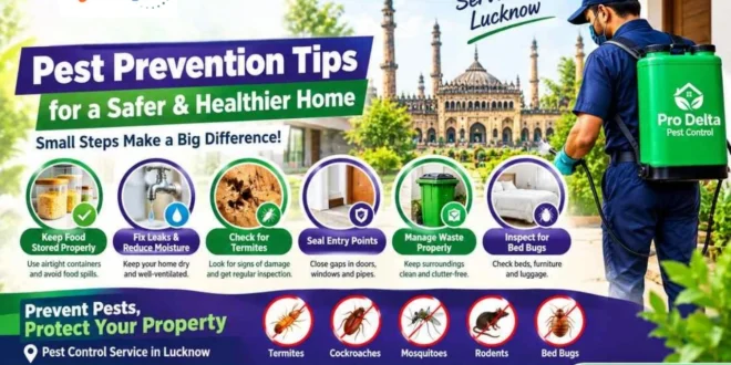 Pest Prevention In Lucknow